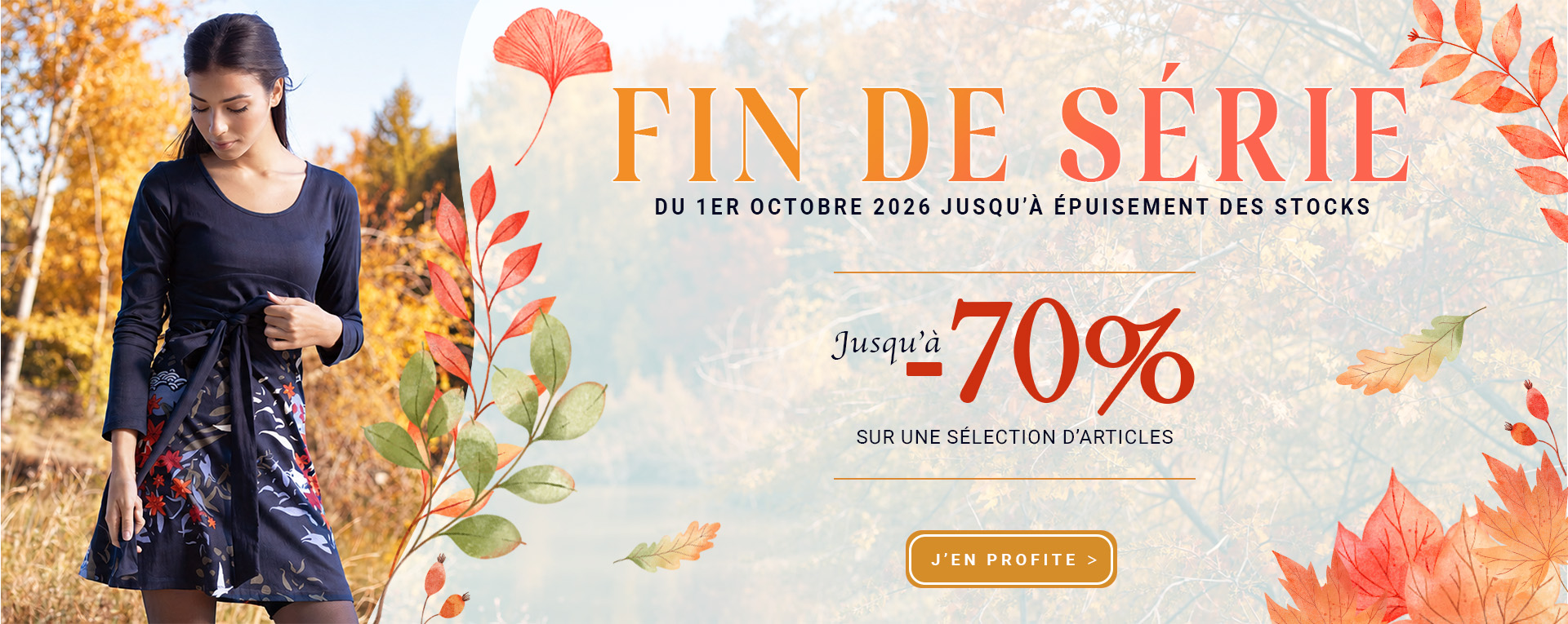 FIN DE SÉRIE